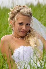 click for enlarge 512 X 768 103.1 Kb picture