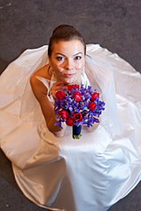 click for enlarge 681 X 1024  82.1 Kb picture