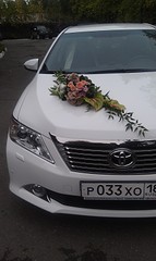 click for enlarge 1920 X 3210 380.6 Kb picture