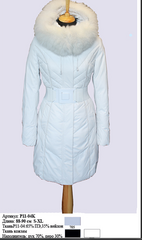 click for enlarge 551 X 931 422.3 Kb picture