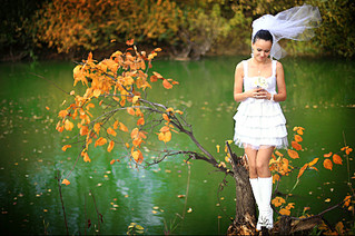 click for enlarge 800 X 531 158.2 Kb picture