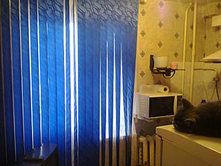 click for enlarge 1600 X 1200 225.8 Kb picture