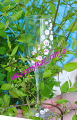 click for enlarge 1563 X 2433 396.9 Kb picture