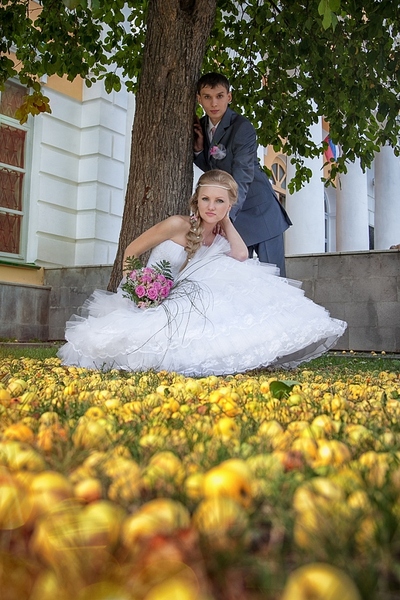 click for enlarge 683 X 1024 391.1 Kb picture