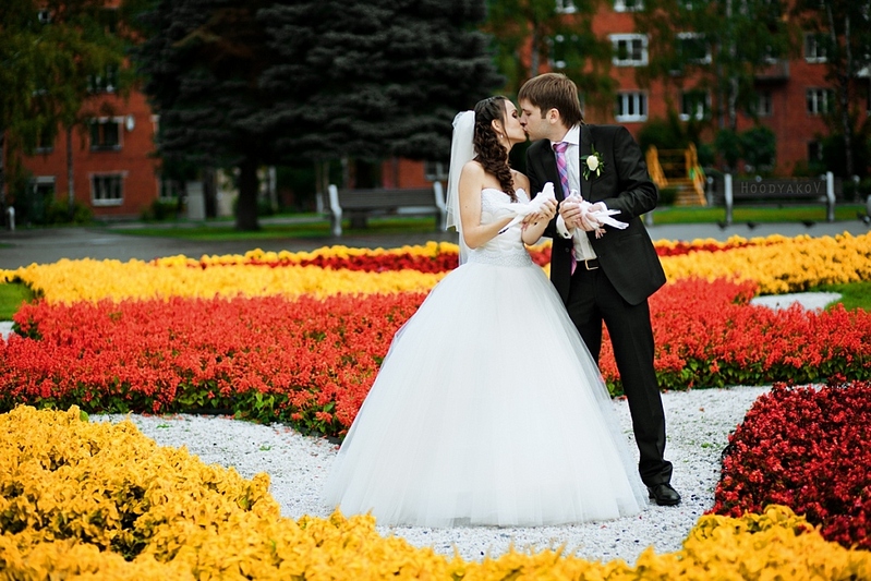 click for enlarge 1024 X 683 375.6 Kb picture