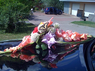 click for enlarge 1600 X 1200 786.6 Kb picture