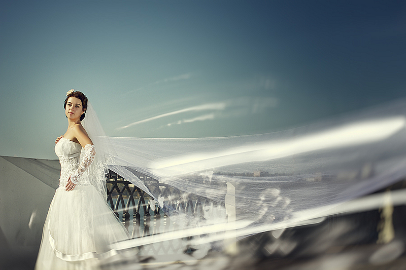 click for enlarge 900 X 600 238.7 Kb picture