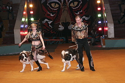 click for enlarge 800 X 533 126.0 Kb picture
