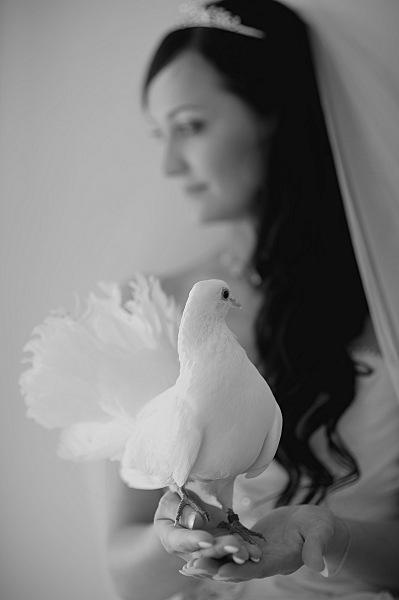 click for enlarge 798 X 1200 113.2 Kb picture