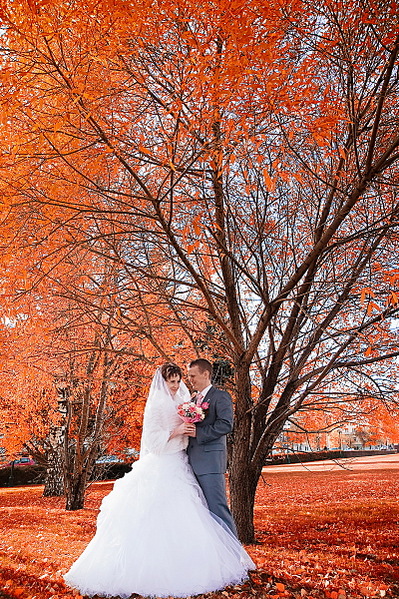 click for enlarge 799 X 1200 895.4 Kb picture