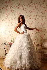 click for enlarge 1920 X 2880 353.0 Kb picture
