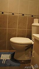 click for enlarge 269 X 480 15.7 Kb picture