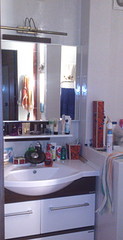 click for enlarge 1725 X 3365 858.5 Kb picture