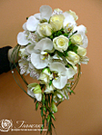 click for enlarge 922 X 1230 1011.6 Kb picture