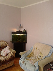 click for enlarge 1920 X 2560 290.2 Kb picture