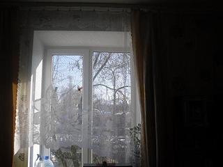 click for enlarge 448 X 336  27.2 Kb picture