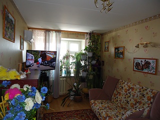 click for enlarge 1024 X 768 282.1 Kb picture
