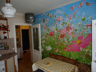 click for enlarge 1024 X 768 230.2 Kb picture