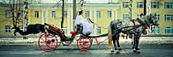 click for enlarge 807 X 266 113.5 Kb picture