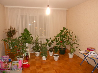 click for enlarge 1024 X 768 227.5 Kb picture