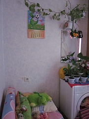click for enlarge 480 X 640 83.9 Kb picture