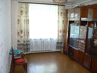 click for enlarge 1024 X 768 300.2 Kb picture