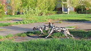 click for enlarge 640 X 359 110.3 Kb picture