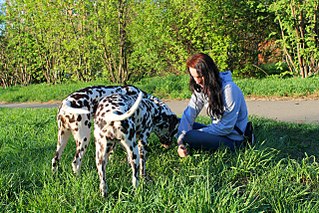 click for enlarge 1280 X 853 476.9 Kb picture