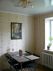 click for enlarge 480 X 640 106.4 Kb picture