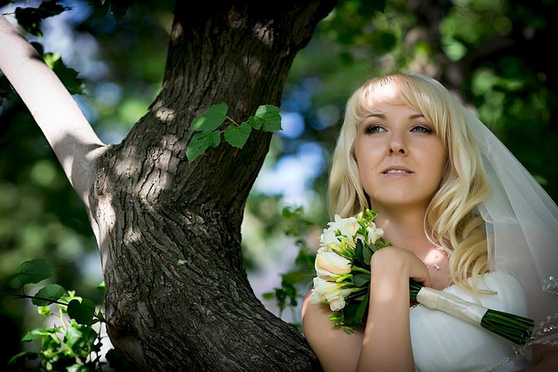 click for enlarge 807 X 538  87.2 Kb picture