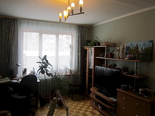 click for enlarge 1600 X 1200 419.3 Kb picture