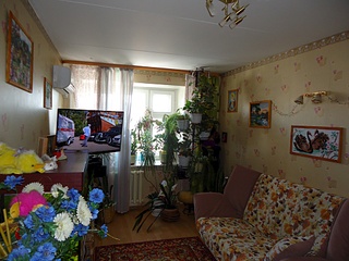 click for enlarge 1024 X 768 282.1 Kb picture