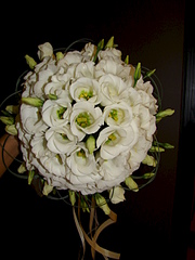 click for enlarge 700 X 500 209.8 Kb picture