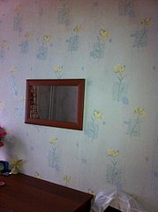 click for enlarge 451 X 604  41.2 Kb picture
