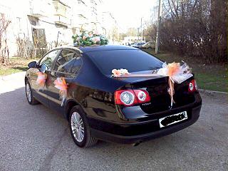 click for enlarge 640 X 480  65.1 Kb picture