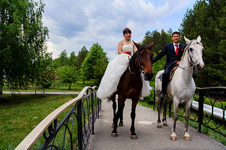 click for enlarge 1250 X 833 1017.2 Kb picture