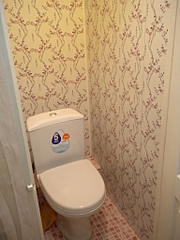 click for enlarge 768 X 1024 395.7 Kb picture