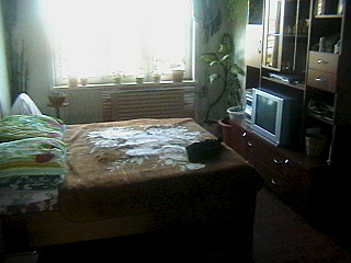 click for enlarge 640 X 480 118.8 Kb picture