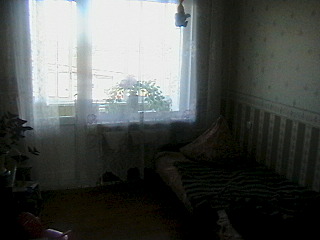 click for enlarge 640 X 480 113.3 Kb picture