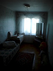 click for enlarge 1536 X 2048 654.5 Kb picture