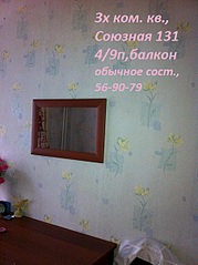click for enlarge 451 X 604  70.5 Kb picture