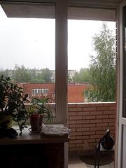 click for enlarge 336 X 448  31.7 Kb picture