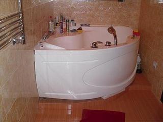 click for enlarge 448 X 336  27.1 Kb picture