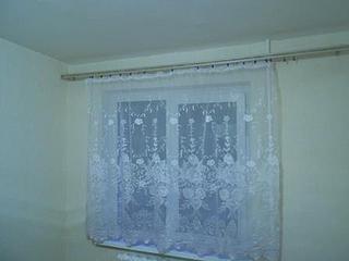 click for enlarge 448 X 336  75.8 Kb picture
