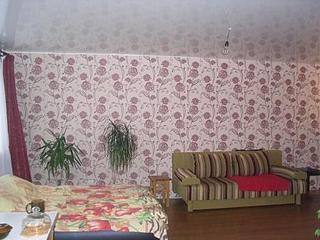 click for enlarge 448 X 336  37.4 Kb picture