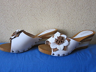 click for enlarge 640 X 480 118.8 Kb picture