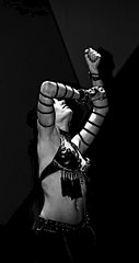 click for enlarge 320 X 604  18.8 Kb picture