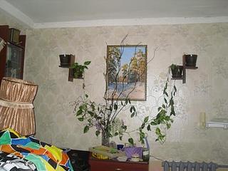 click for enlarge 448 X 336  34.6 Kb picture