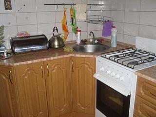 click for enlarge 448 X 336  32.9 Kb picture