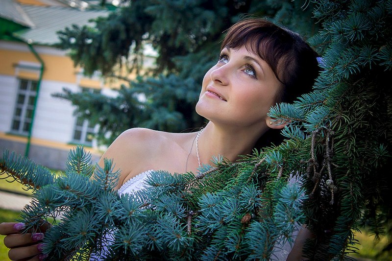 click for enlarge 1280 X 853 280.0 Kb picture